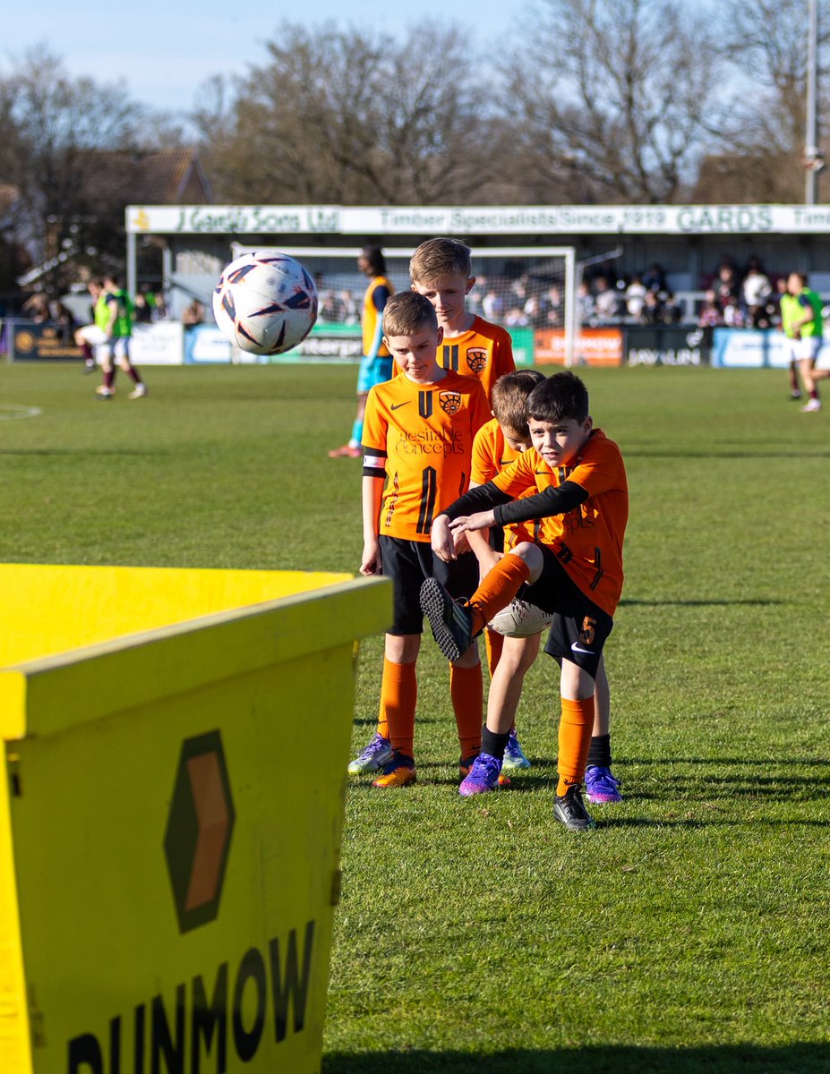 Creative Joy Photography tweet media