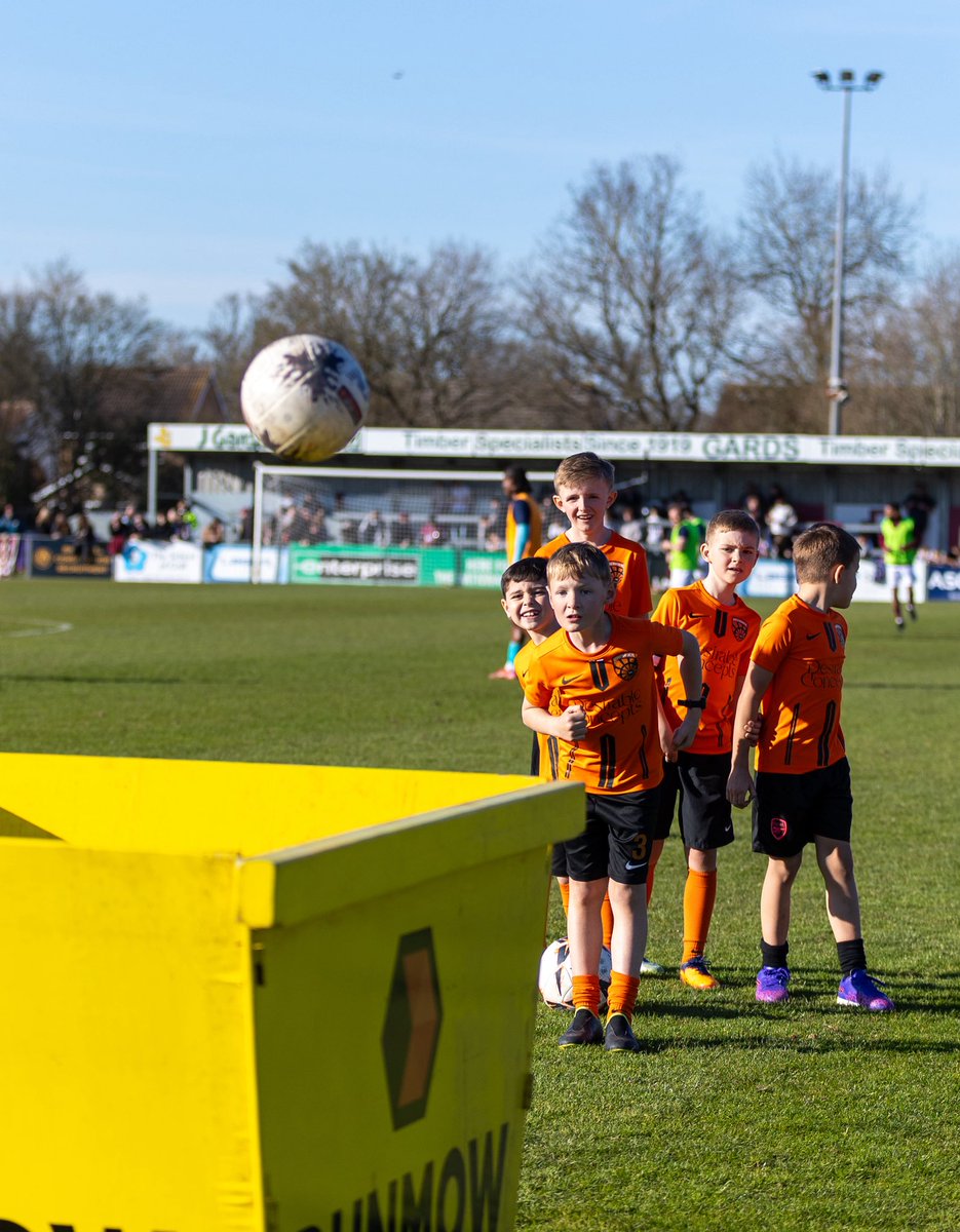 Creative Joy Photography tweet media