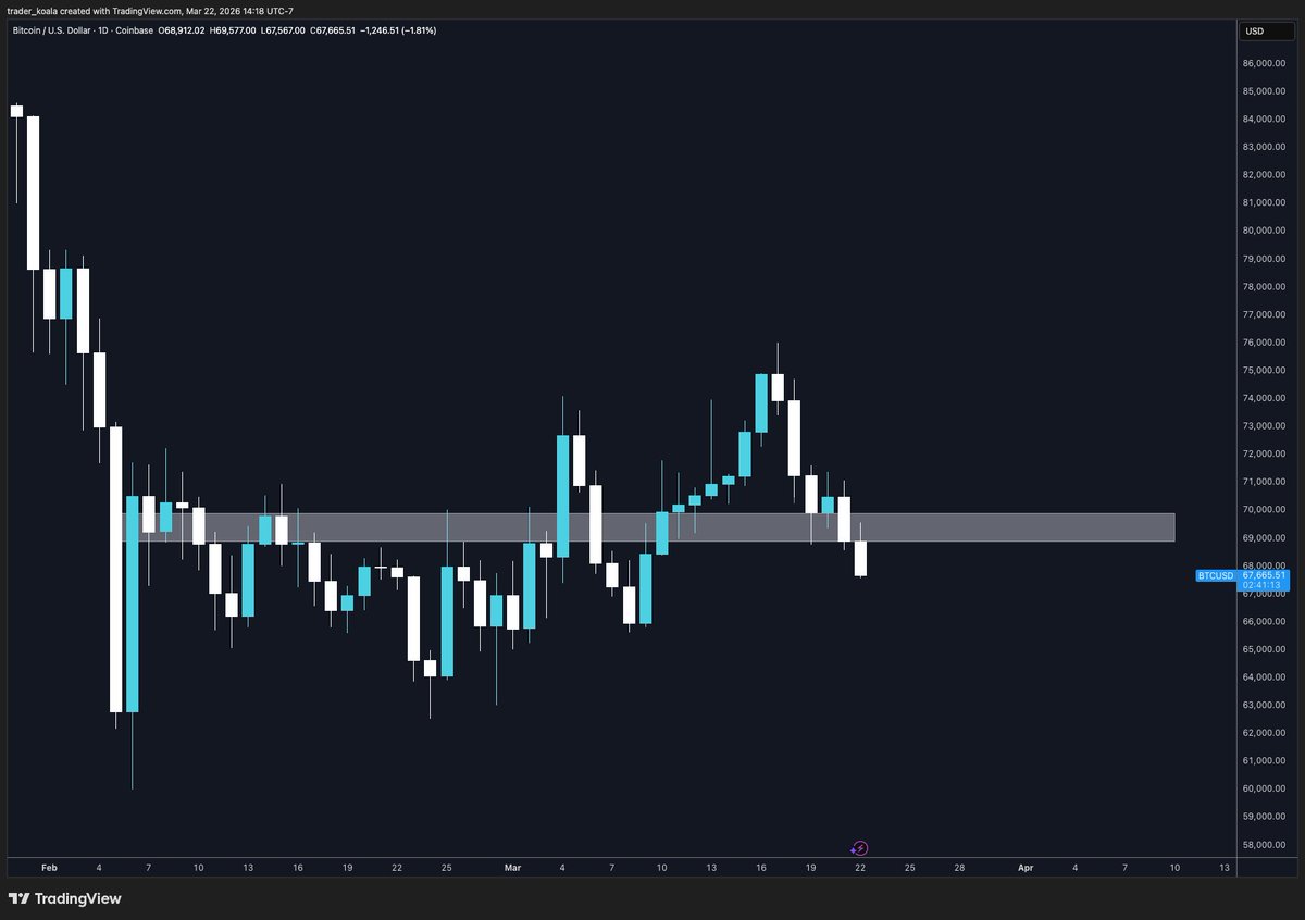 Trader Koala tweet media