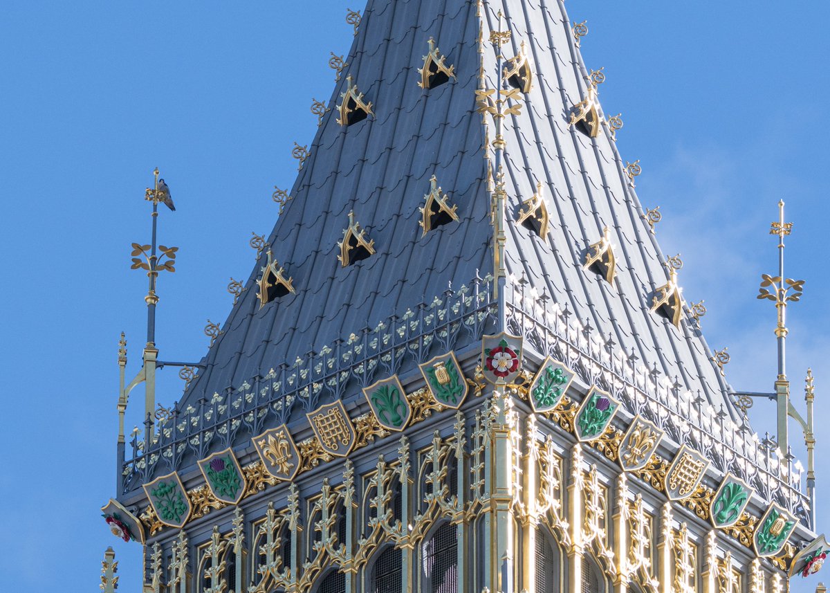 Brian Gallagher tweet media