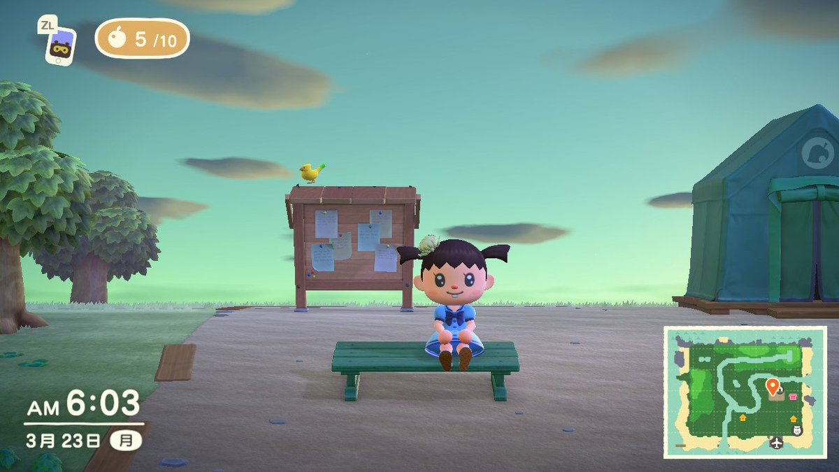 ワオ師範代 tweet media