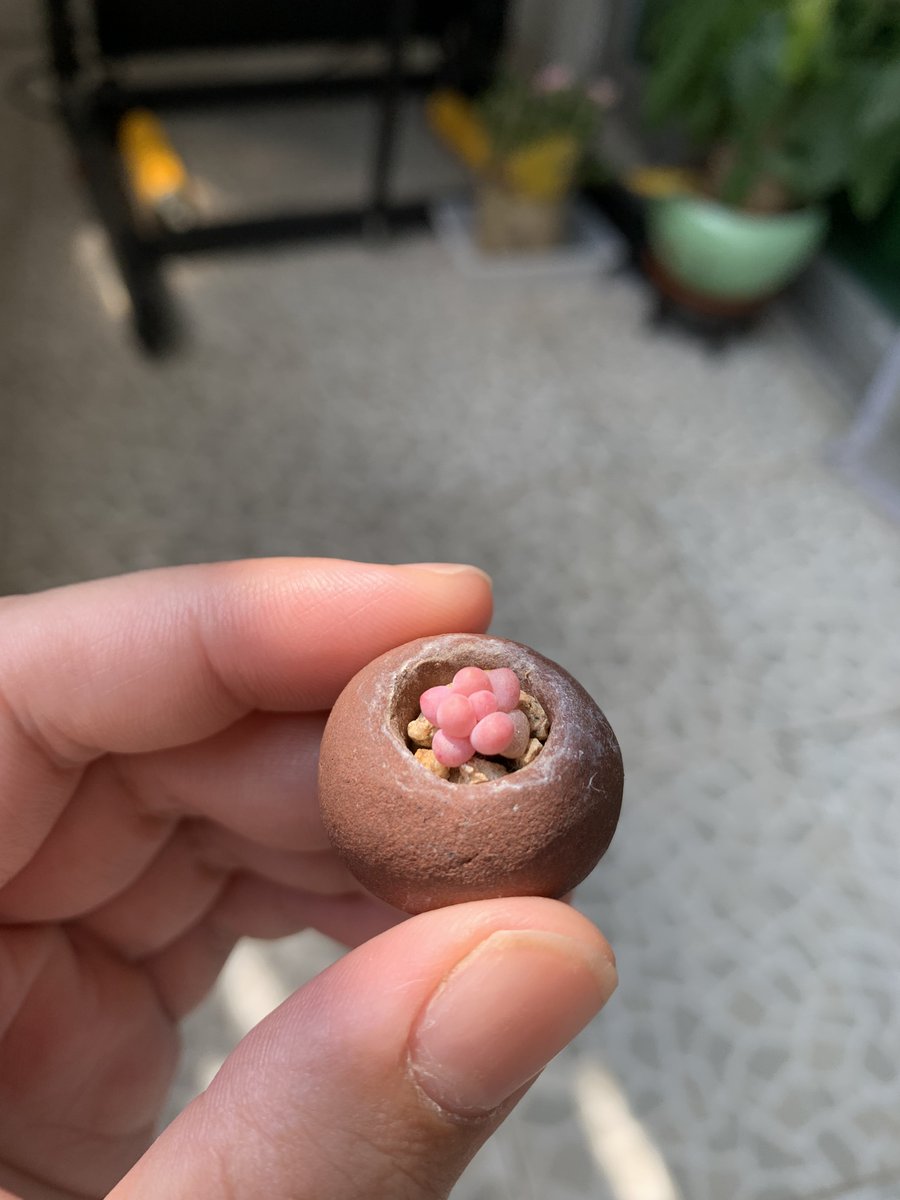 Sanjay Pendharkar tweet media