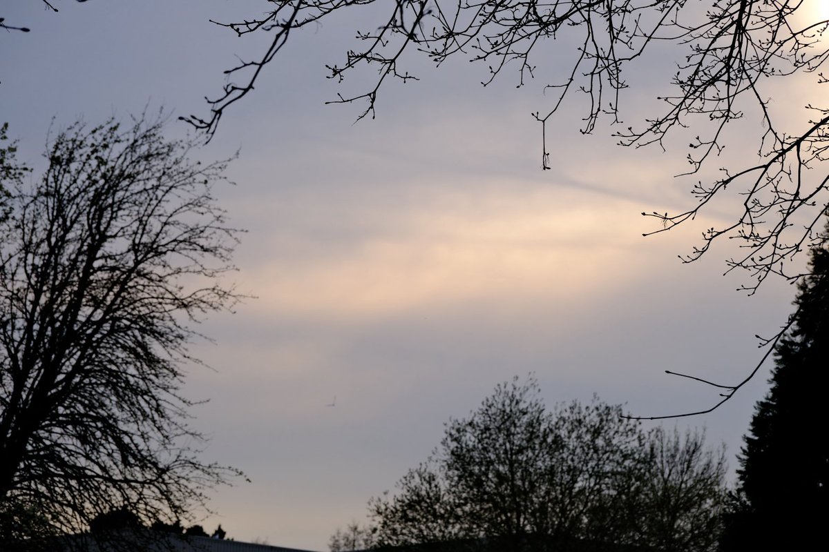 David Turner tweet media