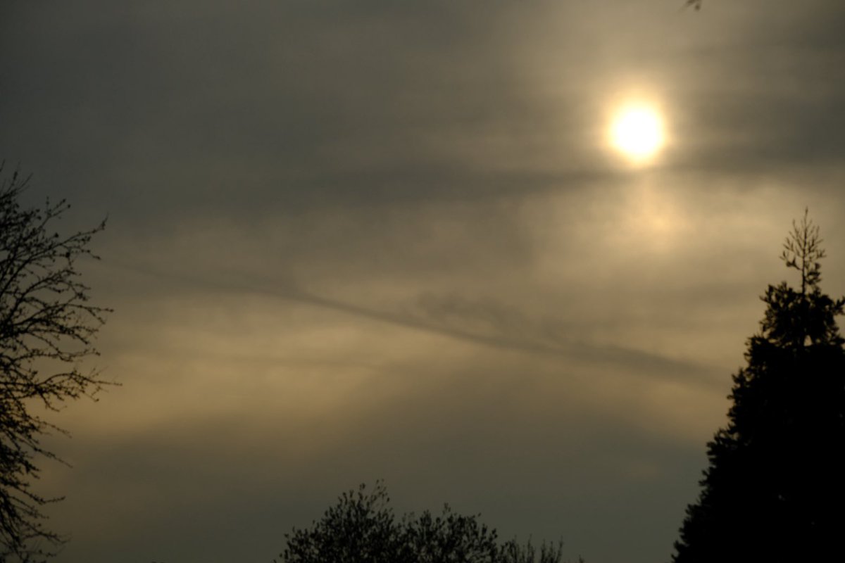 David Turner tweet media