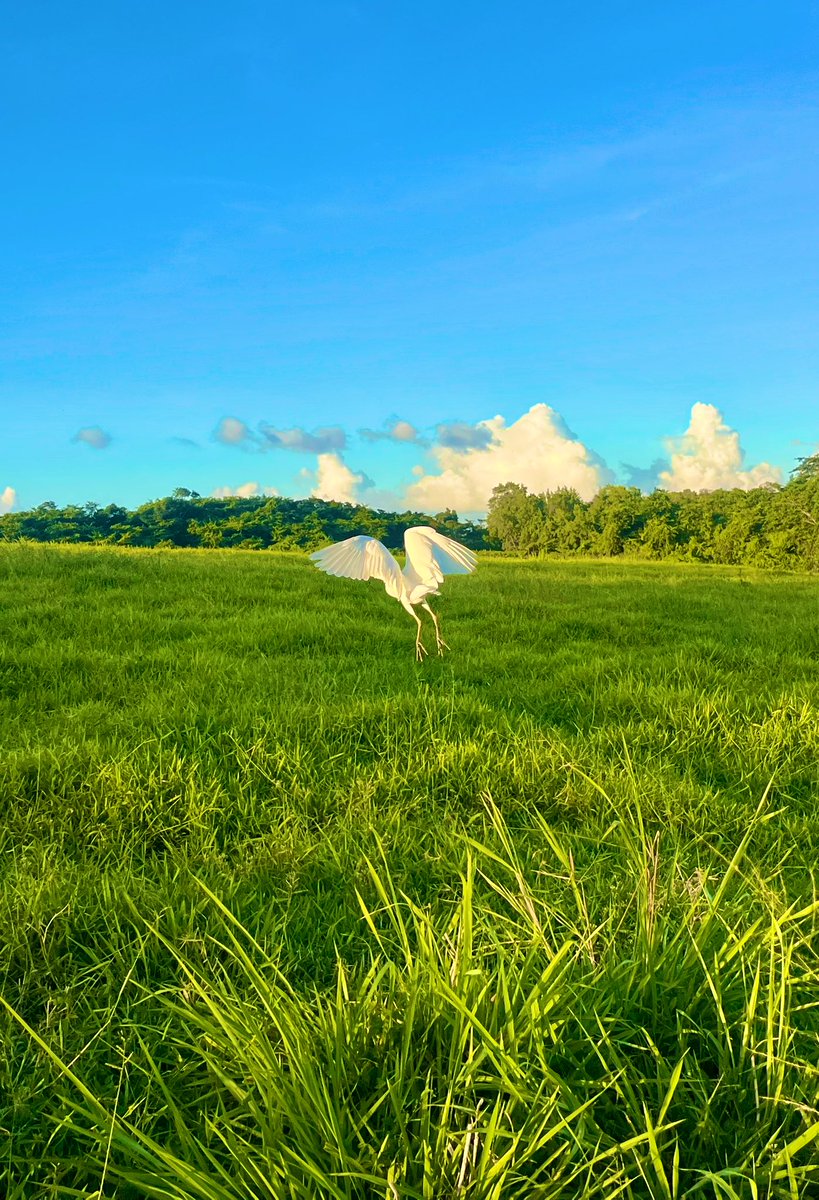 Mylène Colmar tweet media