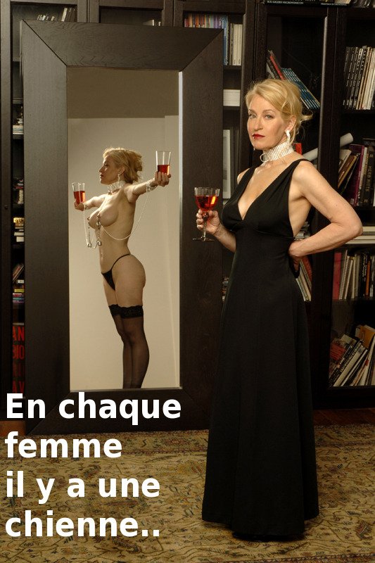 le maitre tweet media