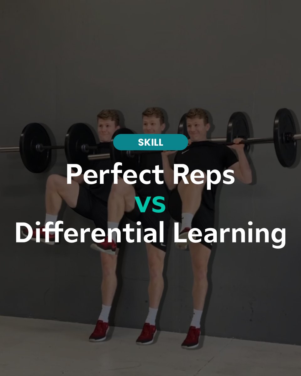 Frans Bosch Systems tweet media