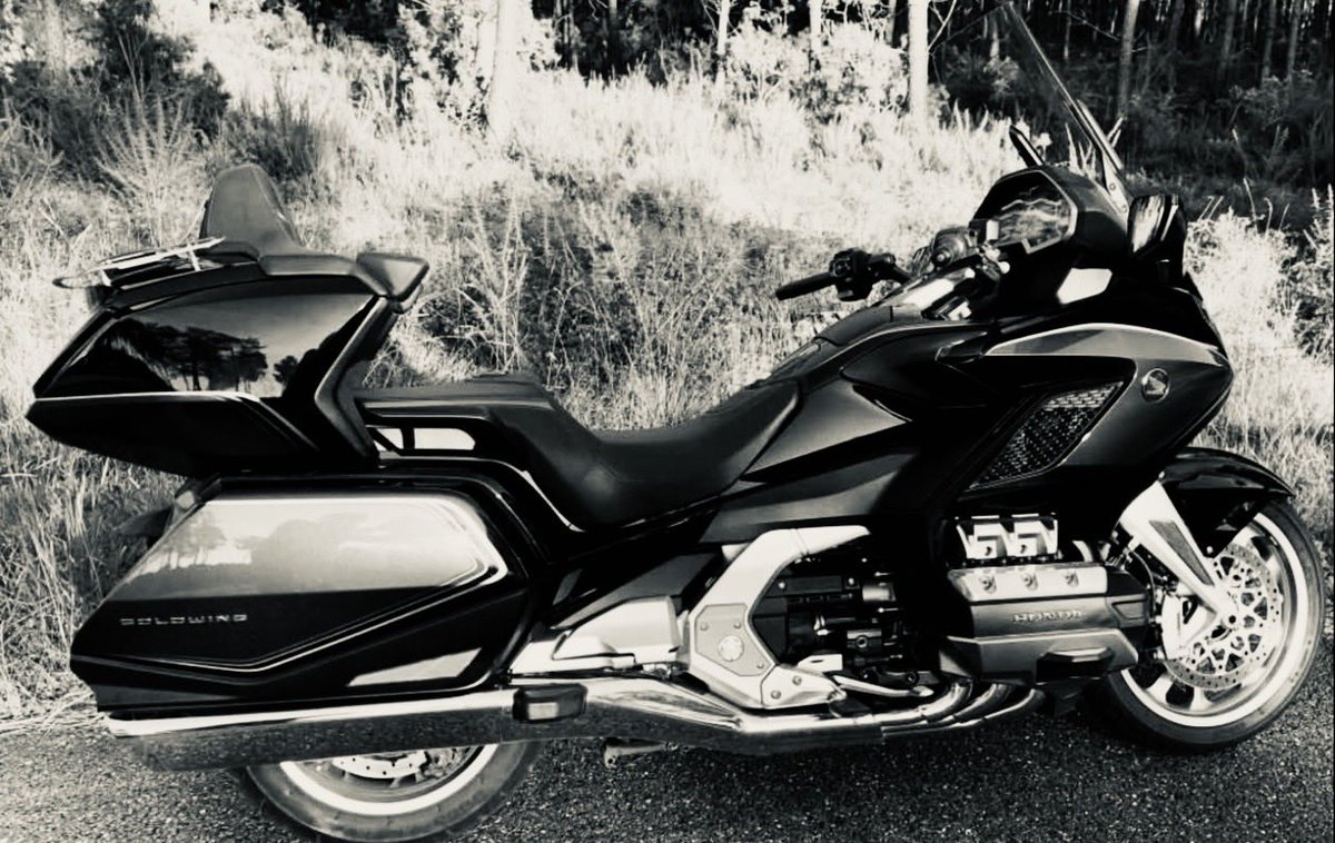 Ding Dong Caliente tweet media