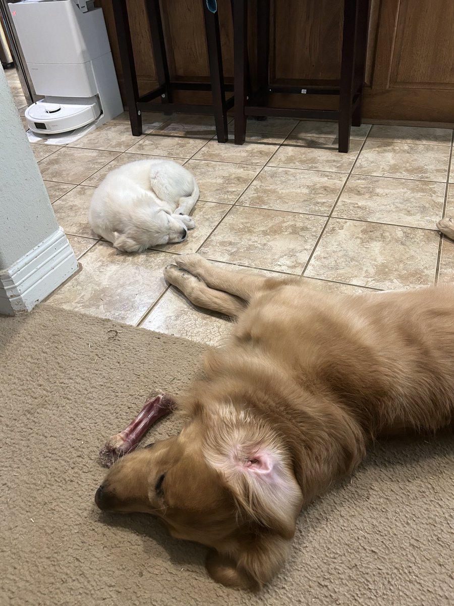 Baxter&Bailey tweet media