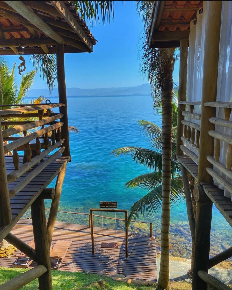 ReNature🦋 tweet media