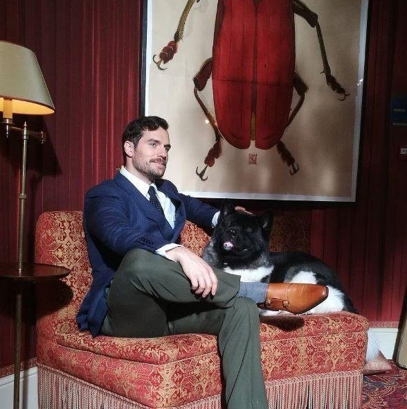 ๐โค๏ธ๐ใ ๎จ ๐๐๐ซ๐ ๐ ๐โค๏ธ๐ใ ๎จ tweet media