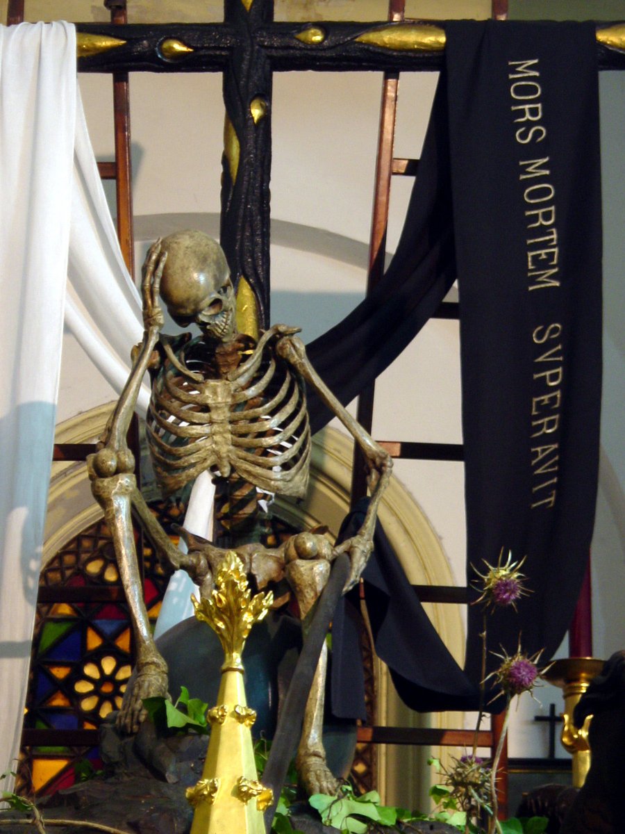 Manuel Jesús Roldán tweet media