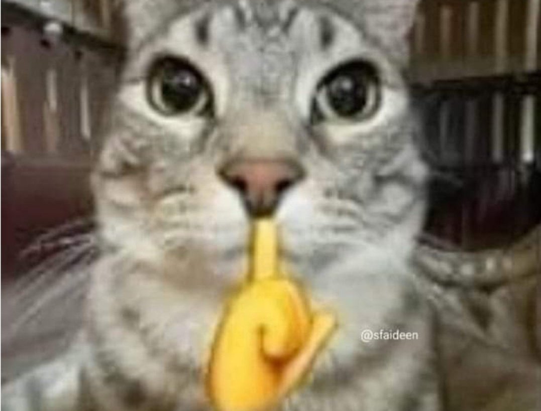 كعك بعجوة🥮 tweet media