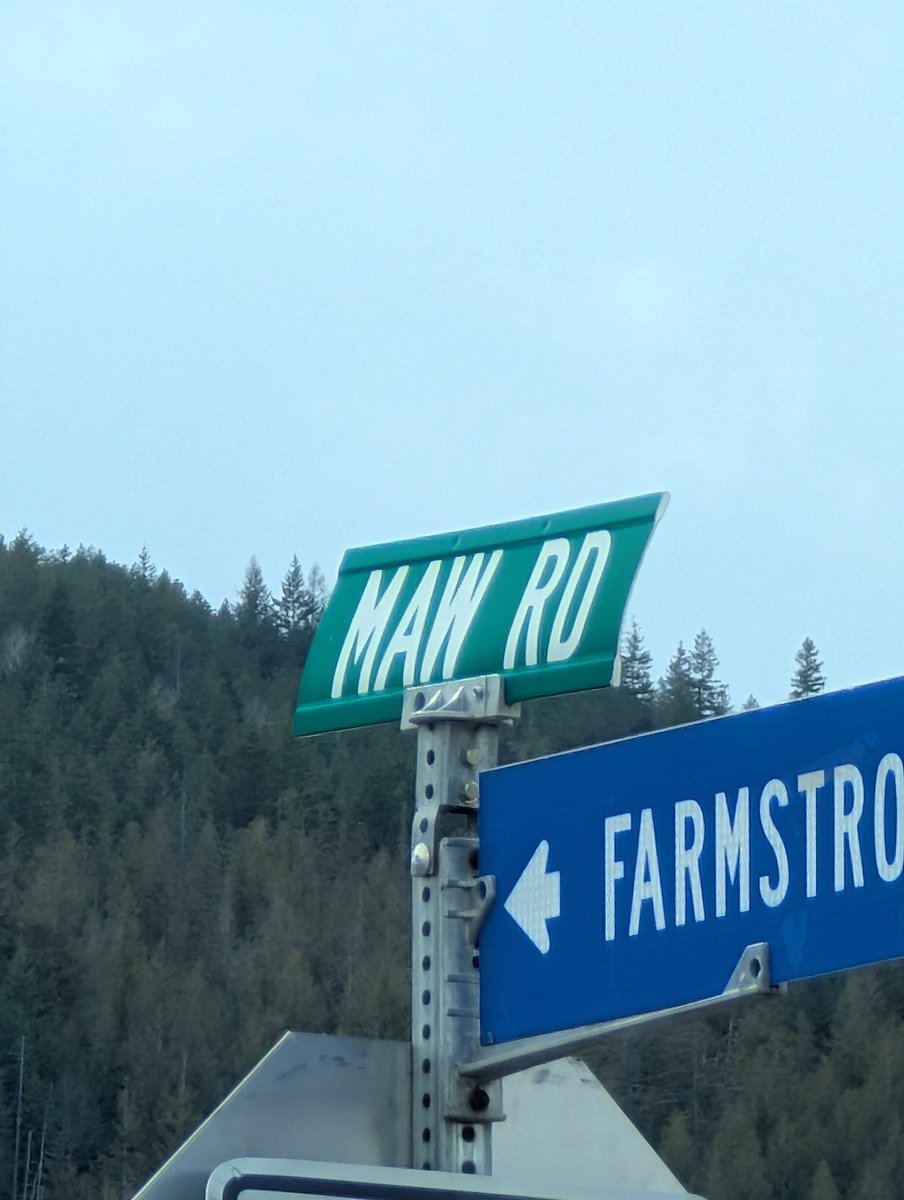 🥞GNAR THE PANCAKE YOTE🥞 tweet media