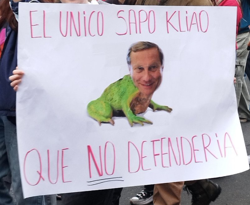 Caro Fimmel tweet media