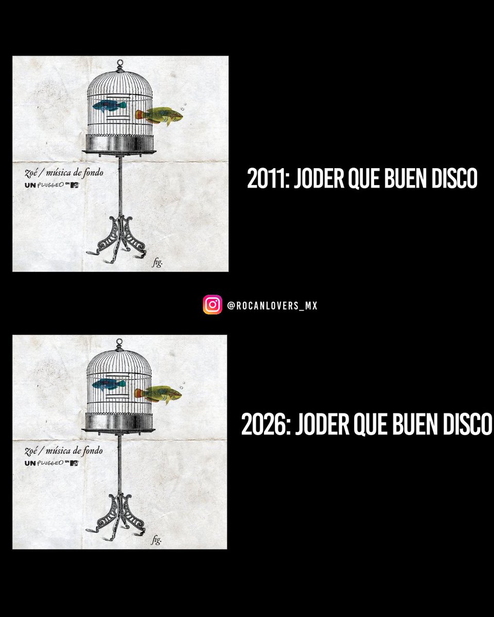 Rocanlovers Mx tweet media