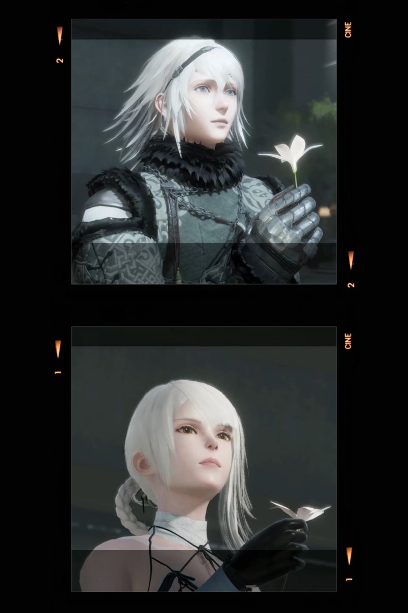 theshenami tweet media