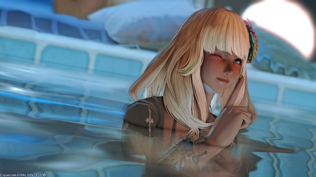 🫶猫のシロ🐝 tweet media