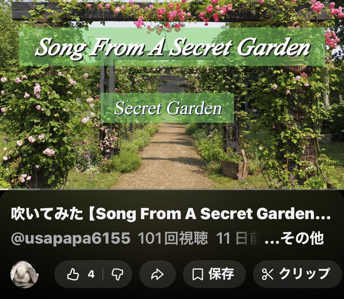 usapapa ⋆̥*̥̥⋆̥🎺🌿 🥩🥦🤟 🌸 🎺🍎💫 🌸🎶🌱🎶 🐰 tweet media