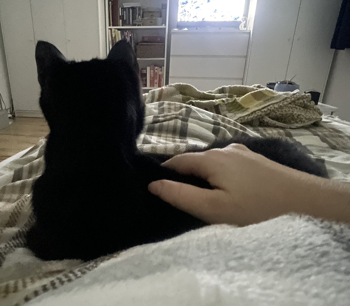 🅂🄼🄸🄻🄹🄸 🎨 tweet media