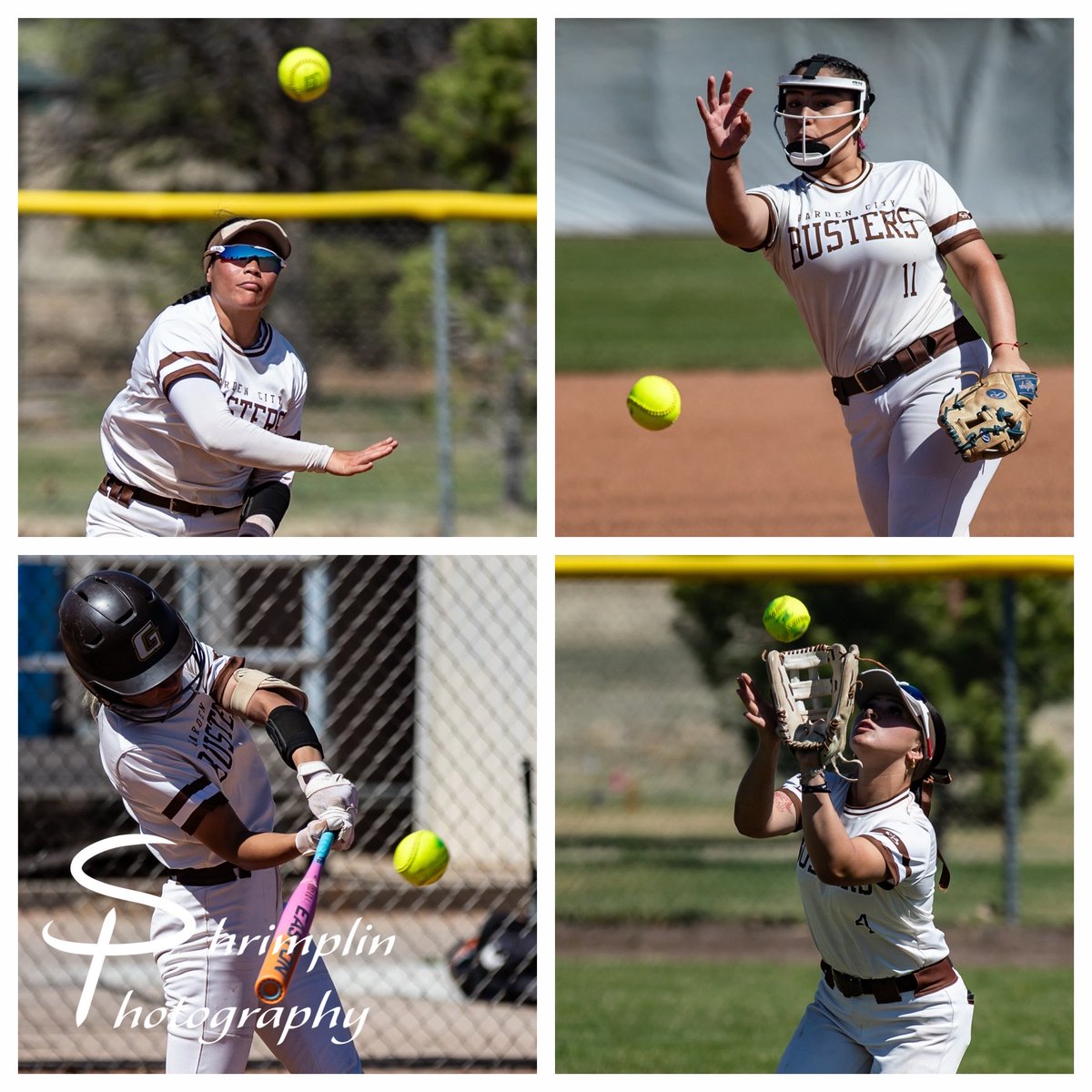 Adam Shrimplin tweet media