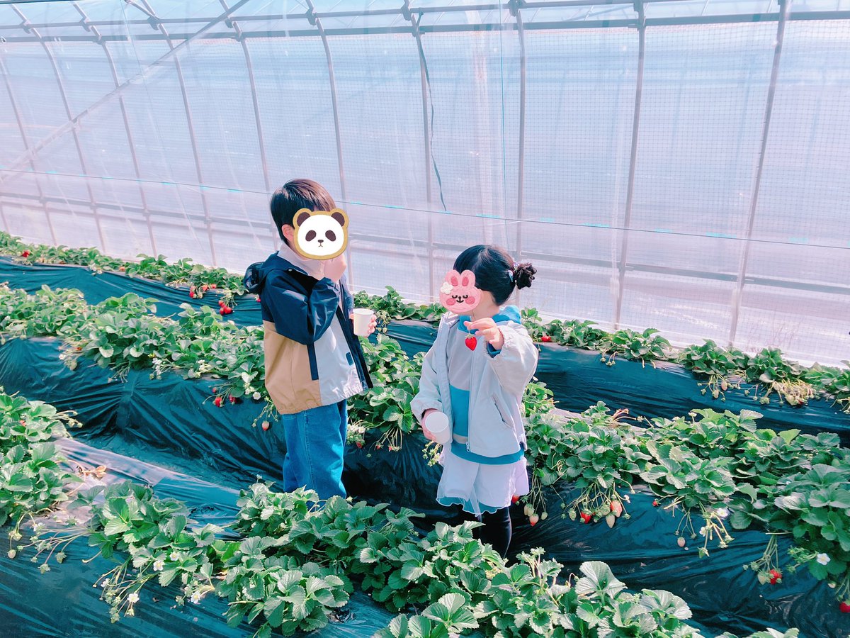 パパファイブ@住宅系ブロガー／2児のパパ tweet media