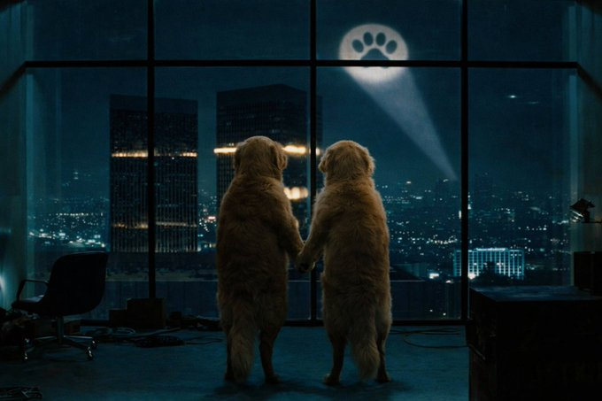 It`s always darkest night before greatest dawn.  

Round 2.