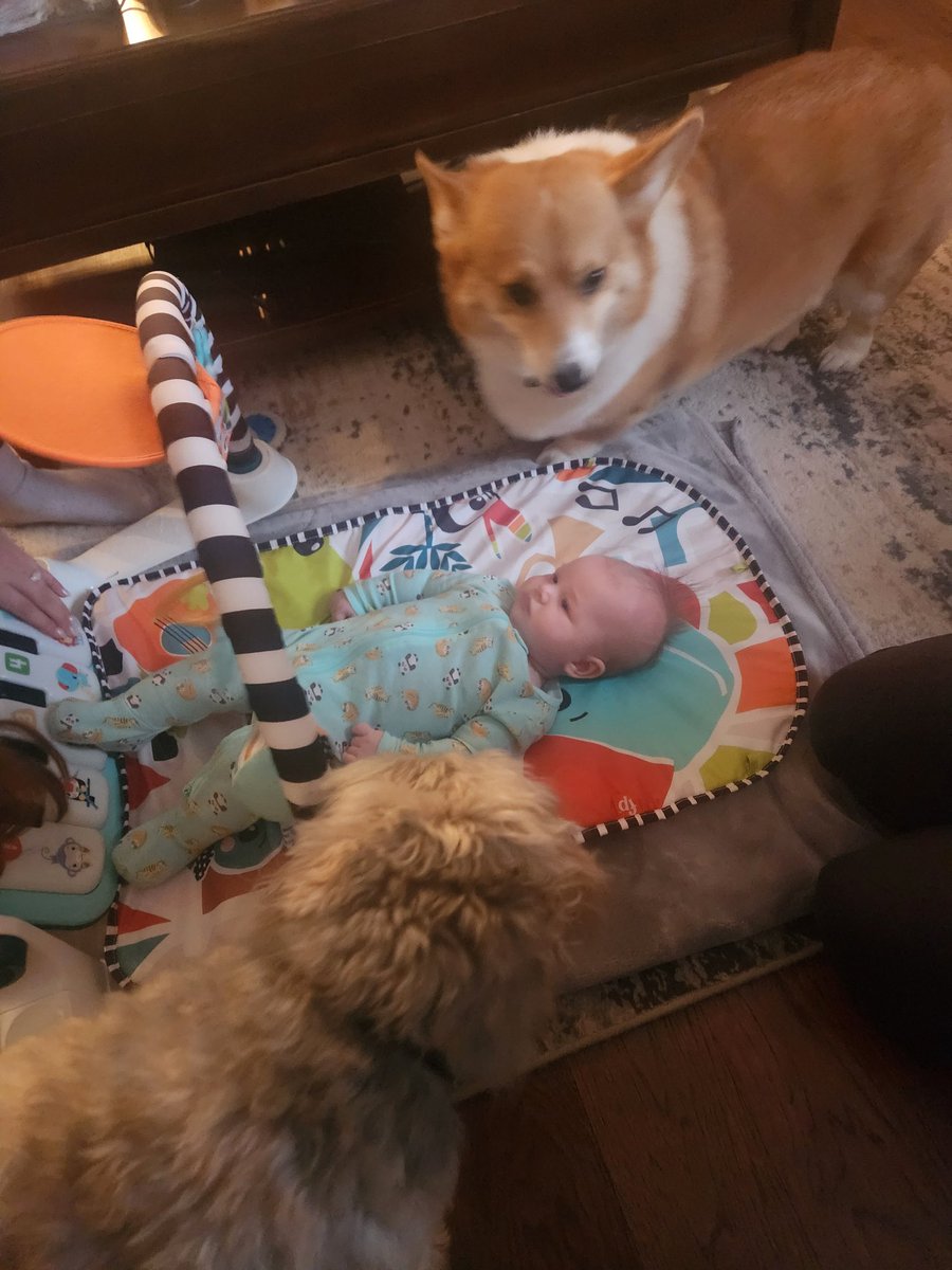 Steve Tizzard tweet media