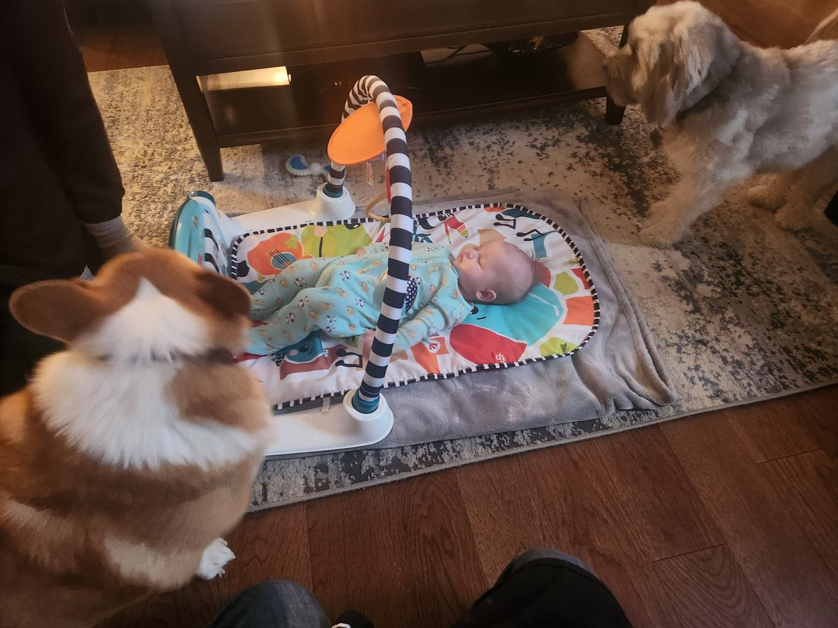 Steve Tizzard tweet media