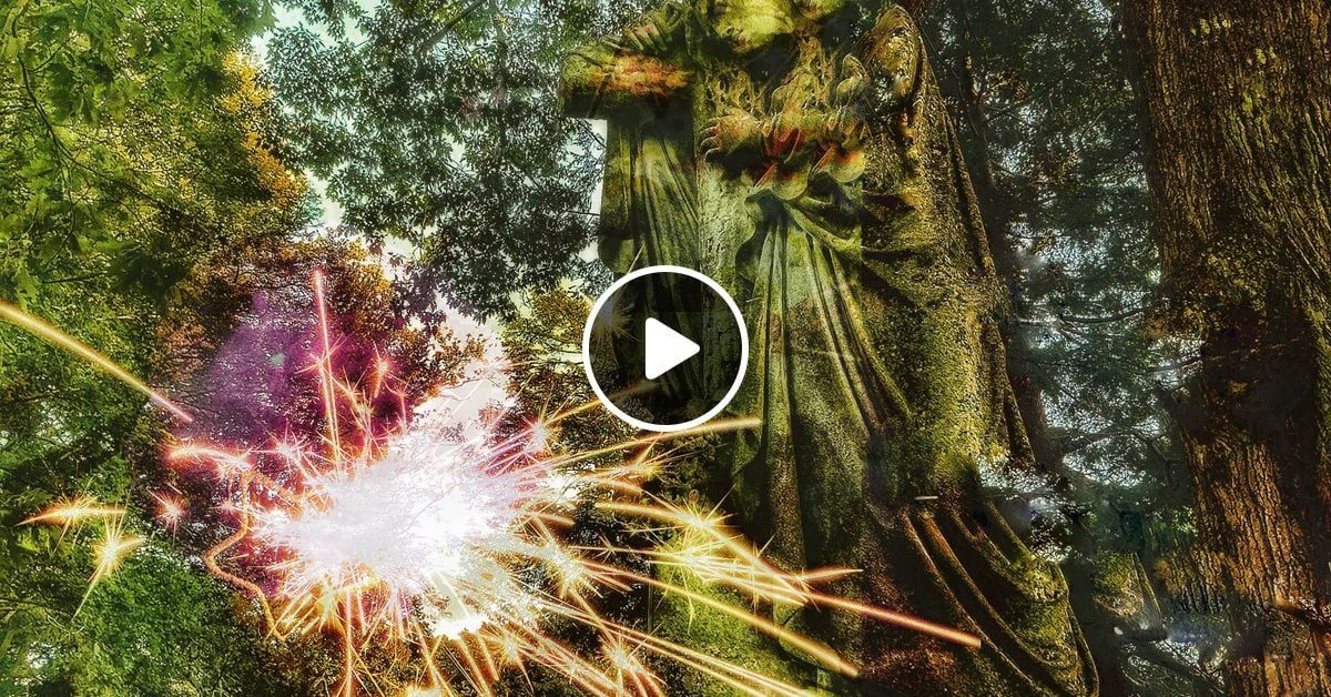 Lewis LaCook tweet media