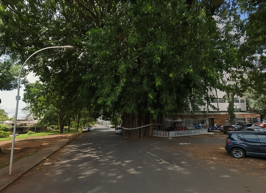 Geopizza Podcast tweet media