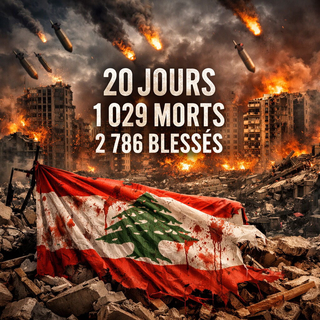 Charbellakis tweet media