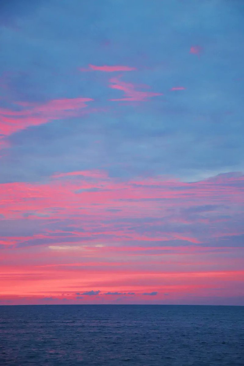 Johnny Mickey tweet media