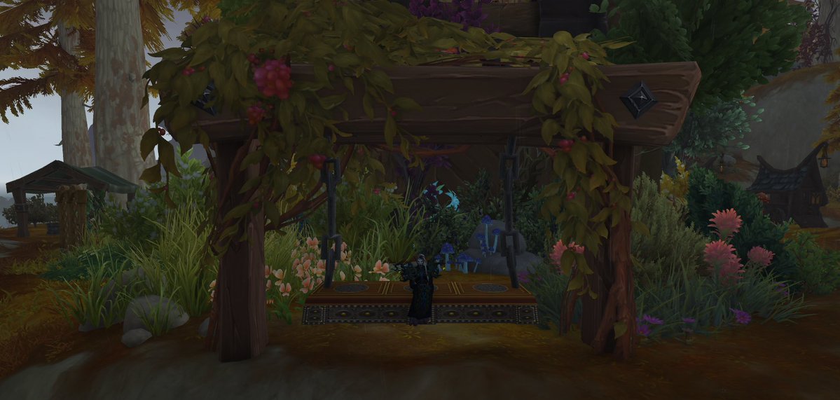 Another Pod: Do Not Relent! tweet media