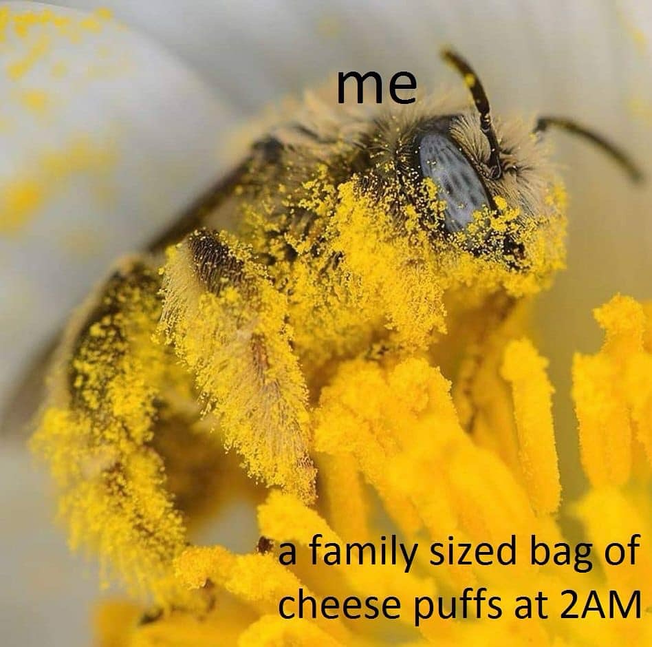 i like food tweet media