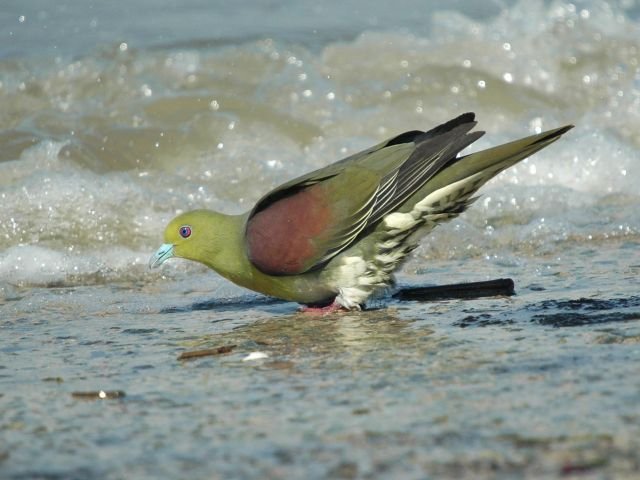 alan1945 tweet media