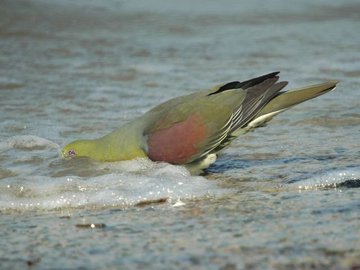 alan1945 tweet media