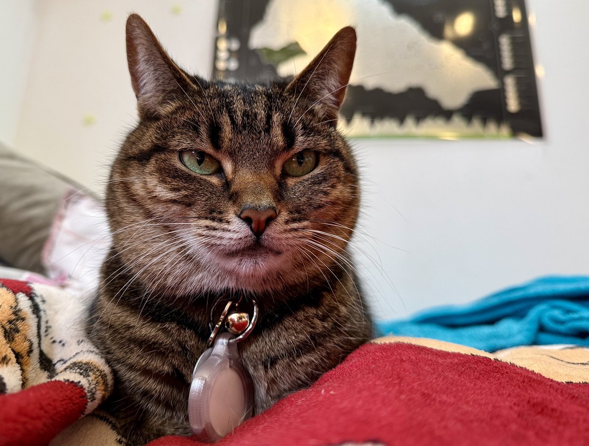 Стас Юрченко tweet media