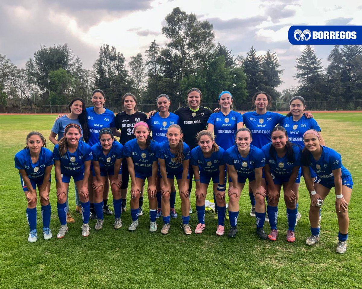 Borregos Monterrey tweet media