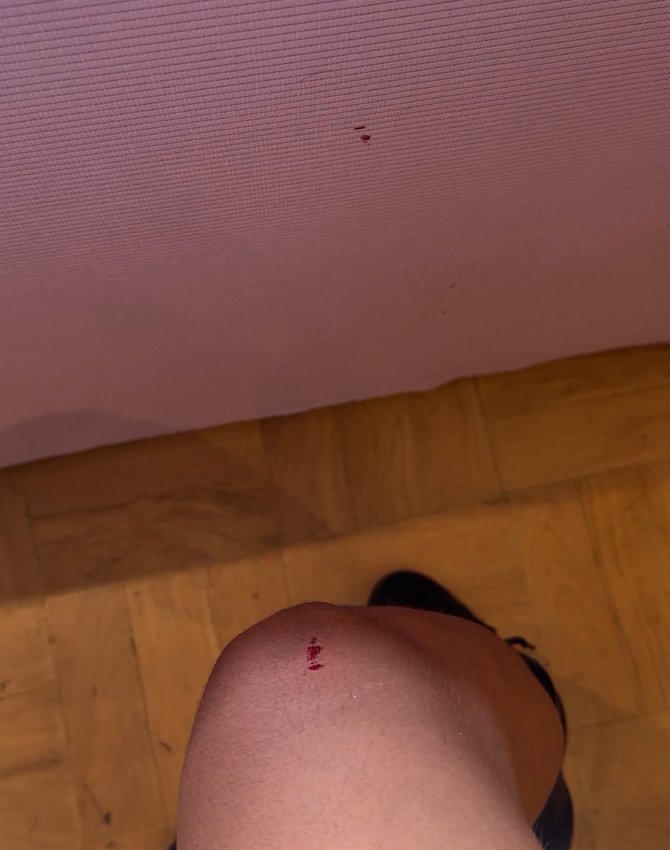 Ester • Leebit's Tours VAI VER O SKZ tweet media