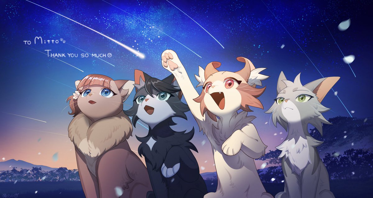 Mitto🐾 tweet media