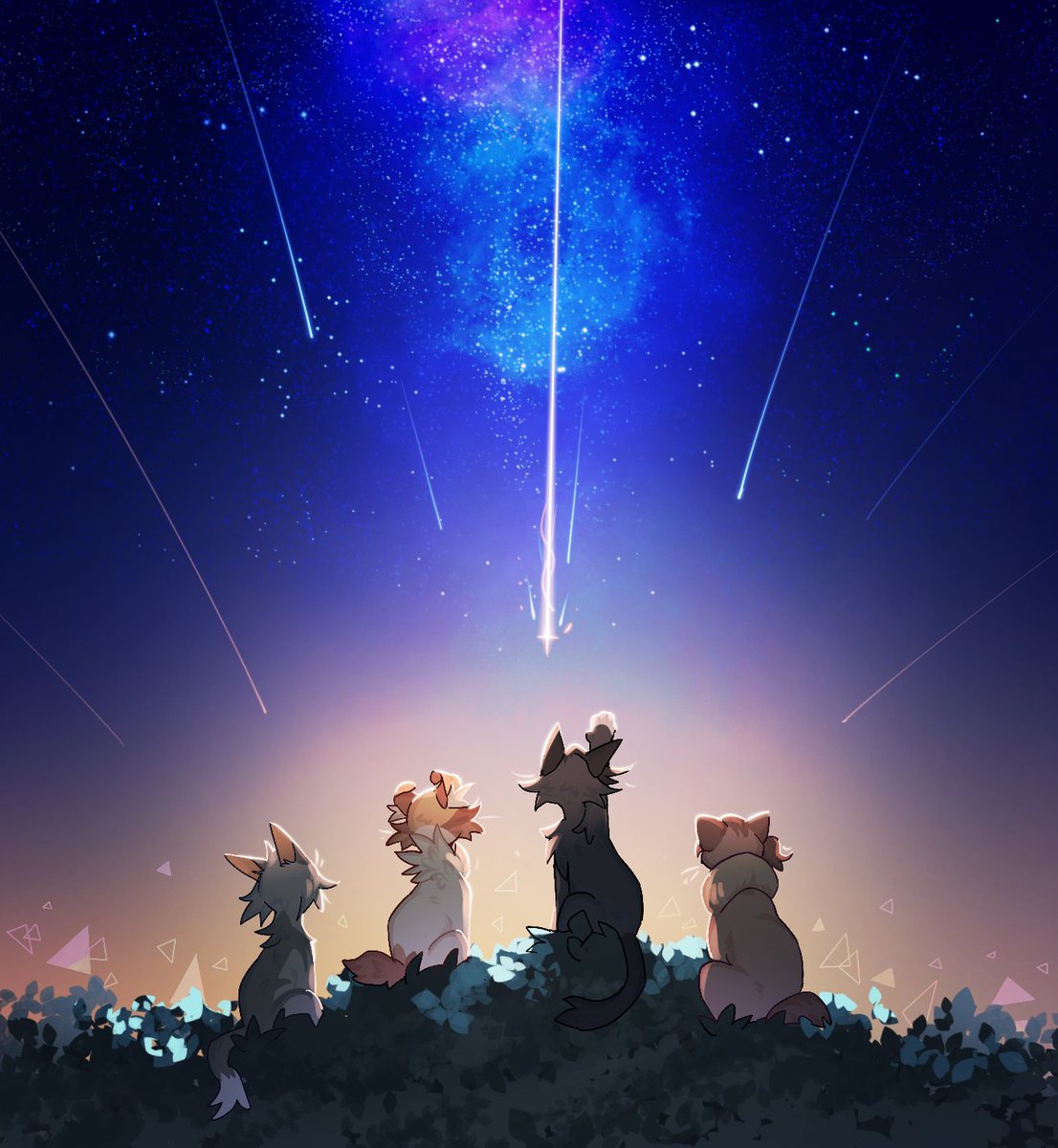 Mitto🐾 tweet media