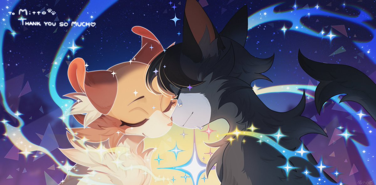 Mitto🐾 tweet media