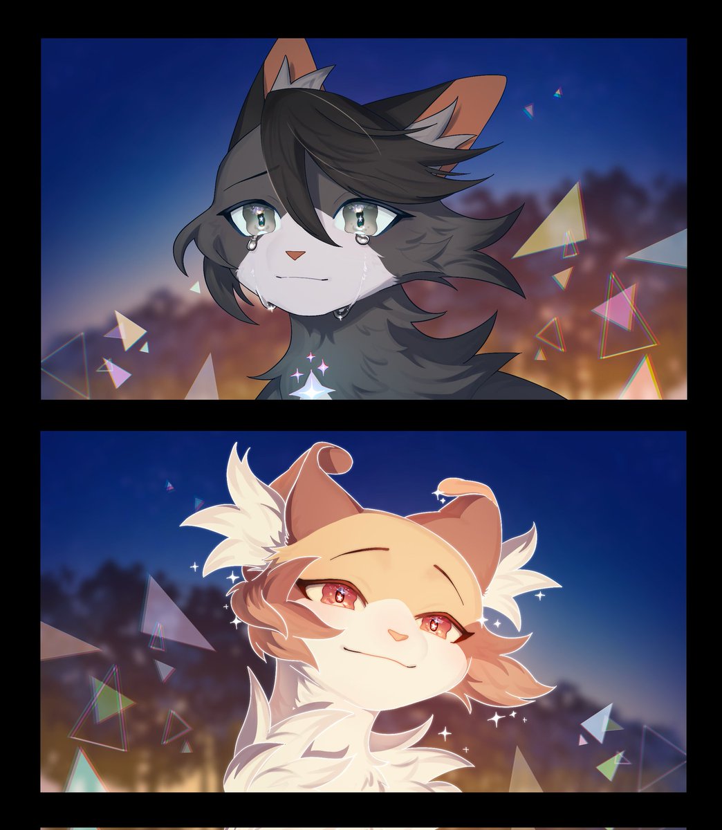 Mitto🐾 tweet media