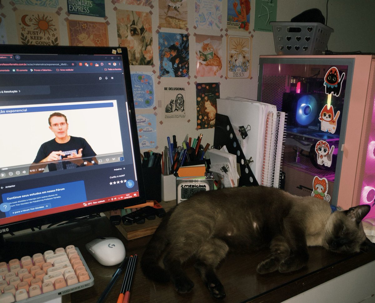 Studynha✨🩺 tweet media