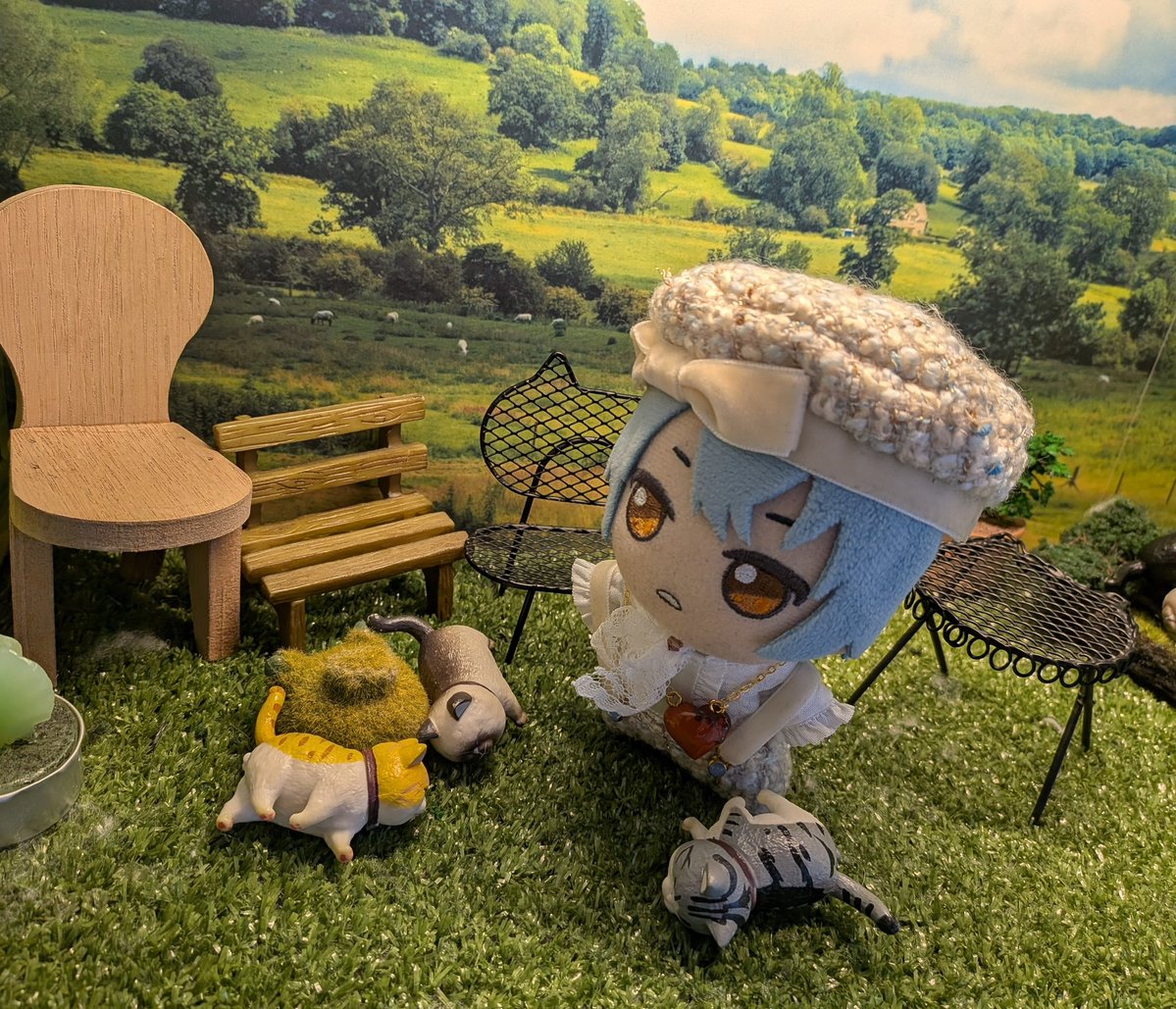 朝から🐱団欒
#まほやく_ぬい
 #月曜ぬいMorning