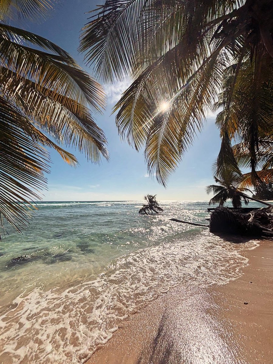 Barbados's tweet image. Sometimes the best reset is sunshine, sea breeze, and time with the people who matter most. A family escape to Barbados might be exactly what your soul has been waiting for.🌴☀️🇧🇧

 📸: @my_travels_liverpool, thanks for sharing!

#MyBarbados #LoveBarbados #VisitBarbados
