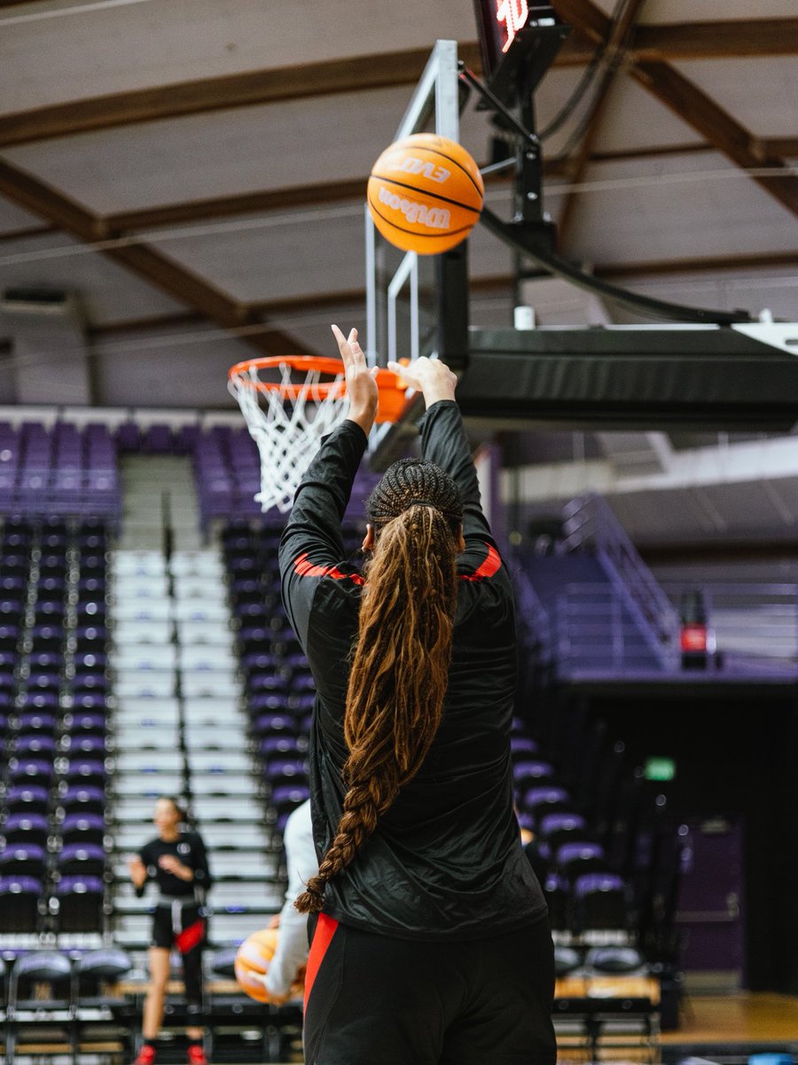 Lamar Women's Hoops tweet media