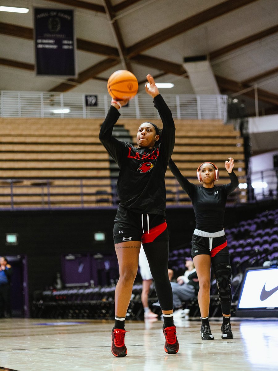 Lamar Women's Hoops tweet media
