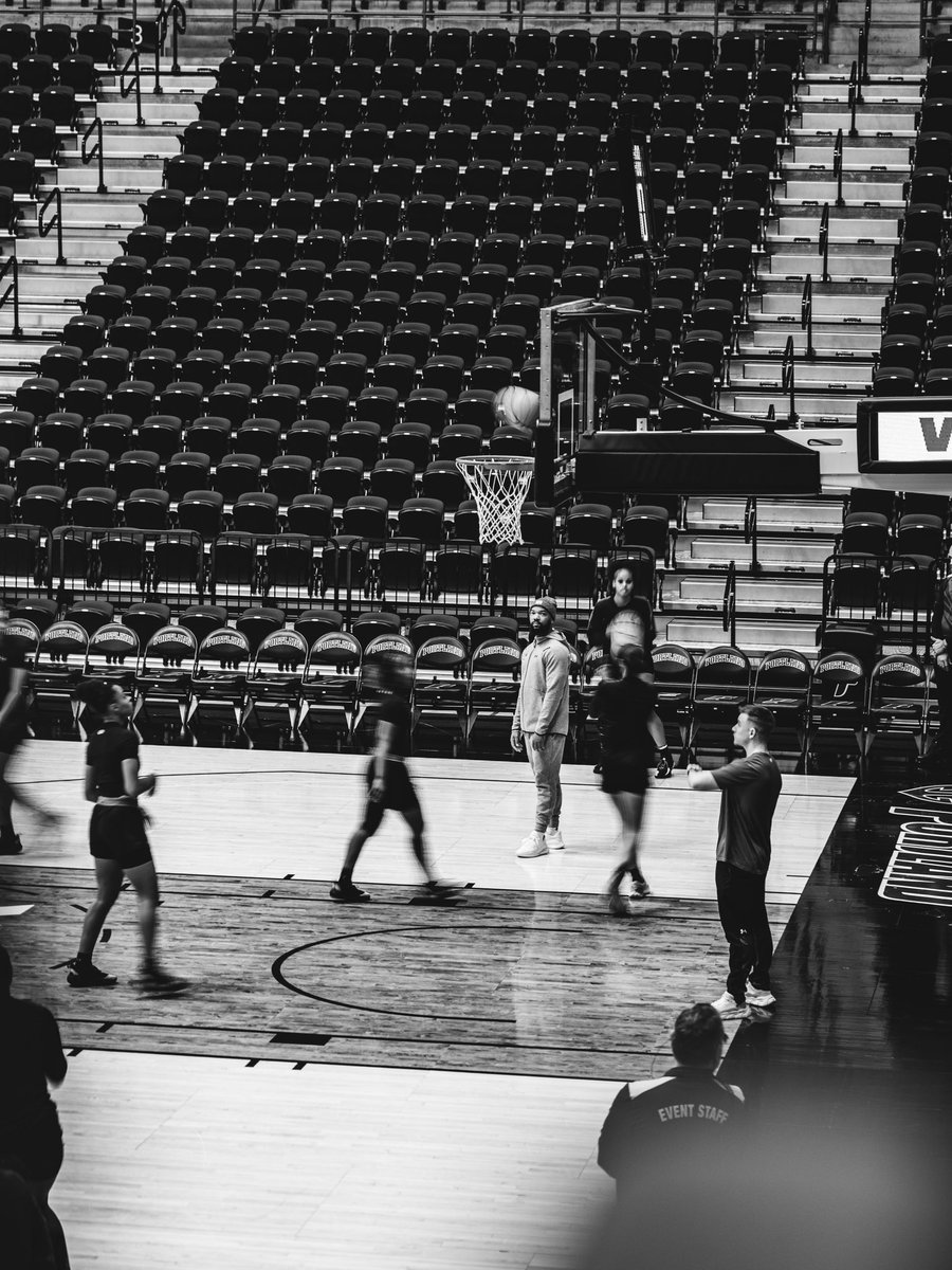 Lamar Women's Hoops tweet media